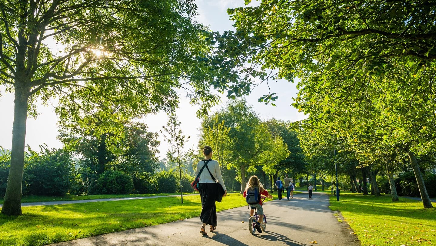 Urban green landscape